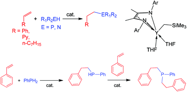 Graphical abstract: Metallacyclic yttrium alkyl and hydrido complexes: synthesis, structures and catalytic activity in intermolecular olefin hydrophosphination and hydroamination