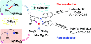 Graphical abstract: Ring-opening polymerization of rac-lactide and α-methyltrimethylene carbonate catalyzed by magnesium and zinc complexes derived from binaphthyl-based iminophenolate ligands