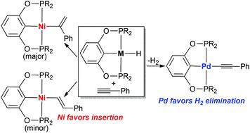 Graphical abstract: Reactions of phenylacetylene with nickel POCOP-pincer hydride complexes resulting in different outcomes from their palladium analogues