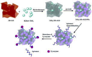 Graphical abstract: An electrochemical aptasensor based on a TiO2/three-dimensional reduced graphene oxide/PPy nanocomposite for the sensitive detection of lysozyme
