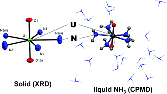 Graphical abstract: [UO2(NH3)5]Br2·NH3: synthesis, crystal structure, and speciation in liquid ammonia solution by first-principles molecular dynamics simulations