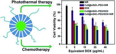 Graphical abstract: CuS@mSiO2-PEG core–shell nanoparticles as a NIR light responsive drug delivery nanoplatform for efficient chemo-photothermal therapy