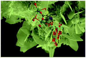 Graphical abstract: An experimental-computer modeling study of inorganic phosphates surface adsorption on hydroxyapatite particles