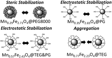 Graphical abstract: Composition and hydrophilicity control of Mn-doped ferrite (MnxFe3−xO4) nanoparticles induced by polyol differentiation