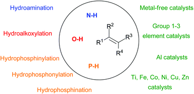 Graphical abstract: Recent developments in alkene hydro-functionalisation promoted by homogeneous catalysts based on earth abundant elements: formation of C–N, C–O and C–P bond