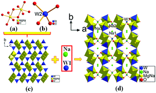 Graphical abstract: Effect of the cation size on the framework structures of magnesium tungstate, A4Mg(WO4)3 (A = Na, K), R2Mg2(WO4)3 (R = Rb, Cs)
