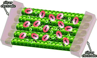 Graphical abstract: A highly sensitive room temperature H2S gas sensor based on SnO2 multi-tube arrays bio-templated from insect bristles