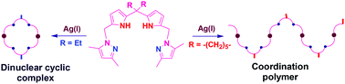 Graphical abstract: Synthesis and structural characterization of silver(i), copper(i) coordination polymers and a helicate palladium(ii) complex of dipyrrolylmethane-based dipyrazole ligands: the effect of meso substituents on structural formation