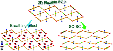Graphical abstract: Double-step CO2 sorption and guest-induced single-crystal-to-single-crystal transformation in a flexible porous framework