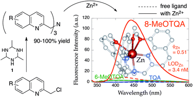 Graphical abstract: Tris(8-methoxy-2-quinolylmethyl)amine (8-MeOTQA) as a highly fluorescent Zn2+ probe prepared by convenient C3-symmetric tripodal amine synthesis