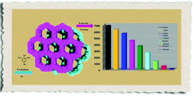 Graphical abstract: A 2D bilayered metal–organic framework as a fluorescent sensor for highly selective sensing of nitro explosives