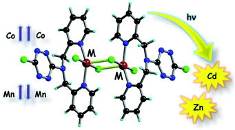 Graphical abstract: Structural, photophysical and magnetic properties of transition metal complexes based on the dipicolylamino-chloro-1,2,4,5-tetrazine ligand