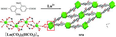 Graphical abstract: Three sra topological lanthanide–organic frameworks built from 2,2′-dimethoxy-4,4′-biphenyldicarboxylic acid