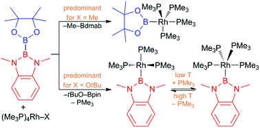 Graphical abstract: Selective B–B bond activation in an unsymmetrical diborane(4) by [(Me3P)4Rh–X] (X = Me, OtBu): a switch of mechanism?