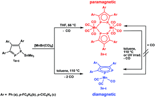 Graphical abstract: Synthesis and magnetic properties of manganese carbonyl complexes with different coordination modes of 3,4,5-triaryl-1,2-diphospholide ligands