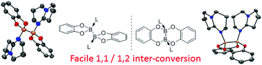 Graphical abstract: 1,1/1,2 Isomerisation in Lewis base adducts of B2cat2
