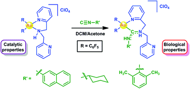 Graphical abstract: The fluxional amine gold(iii) complex as an excellent catalyst and precursor of biologically active acyclic carbenes