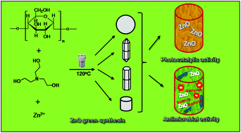 Graphical abstract: A general, eco-friendly synthesis procedure of self-assembled ZnO-based materials with multifunctional properties