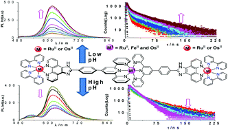 Graphical abstract: pH-Induced processes in wire-like multichromophoric homo- and heterotrimetallic complexes of Fe(ii), Ru(ii), and Os(ii)