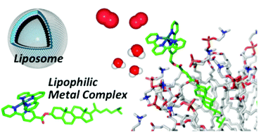 Graphical abstract: Regulation of a cerium(iv)-driven O2 evolution reaction using composites of liposome and lipophilic ruthenium complexes