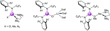 Graphical abstract: Cobalt(ii) amido complexes derived from a monodentate arylamido ligand featuring a highly electron-withdrawing C6F5 substituent