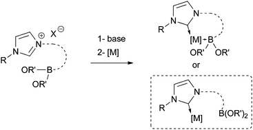 Graphical abstract: Synthesis and structure of Ag(i), Pd(ii), Rh(i), Ru(ii) and Au(i) NHC-complexes with a pendant Lewis acidic boronic ester moiety