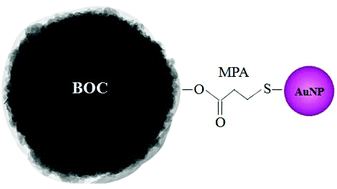 Graphical abstract: Controlled deposition of Au on (BiO)2CO3 microspheres: the size and content of Au nanoparticles matter