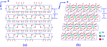 Graphical abstract: An unusual density evolution between SrCdB2O5 polymorphs