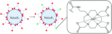 Graphical abstract: Assembly of near infra-red emitting upconverting nanoparticles and multiple Gd(iii)-chelates as a potential bimodal contrast agent for MRI and optical imaging