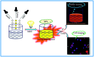 Graphical abstract: Orange-red silver emitters for sensing application and bio-imaging