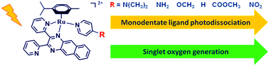 Graphical abstract: Fine control on the photochemical and photobiological properties of Ru(ii) arene complexes