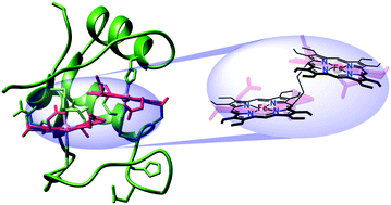 Graphical abstract: An ethane-bridged porphyrin dimer as a model of di-heme proteins: inorganic and bioinorganic perspectives and consequences of heme–heme interactions