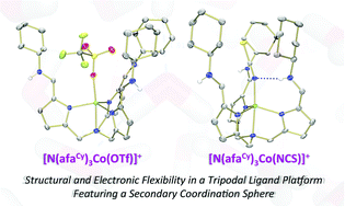 Graphical abstract: Synthesis and characterization of M(ii) (M = Mn, Fe and Co) azafulvene complexes and their X3− derivatives