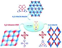 Graphical abstract: Solvent-induced secondary building unit (SBU) variations in a series of Cu(ii) metal–organic frameworks derived from a bifunctional ligand