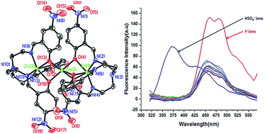 Graphical abstract: Zinc metal complex as a sensor for simultaneous detection of fluoride and HSO4− ions