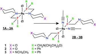 Graphical abstract: New ruthenium(ii) coordination compounds possessing bidentate aminomethylphosphane ligands: synthesis, characterization and preliminary biological study in vitro