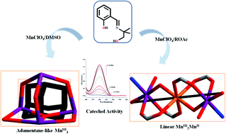 Graphical abstract: Anion coordination selective [Mn3] and [Mn4] assemblies: synthesis, structural diversity, magnetic properties and catechol oxidase activity