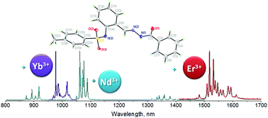 Graphical abstract: Lanthanide complexes with 2-(tosylamino)benzylidene-N-benzoylhydrazone, which exhibit high NIR emission