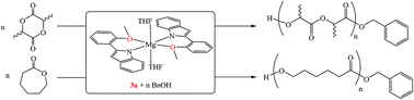 Graphical abstract: Synthesis and catalytic application of magnesium complexes bearing pendant indolyl ligands