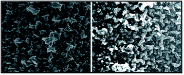 Graphical abstract: Gold nanoparticle decorated graphene sheet-polypyrrole based nanocomposite: its synthesis, characterization and genosensing application