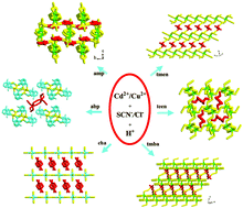 Graphical abstract: New organically templated thiocyanatocadmates and chlorocuprate(ii): synthesis and structural characterization