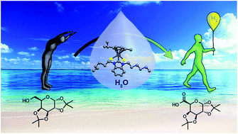 Graphical abstract: A green and sustainable phosphine-free NHC-ruthenium catalyst for selective oxidation of alcohols to carboxylic acids in water