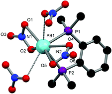 Graphical abstract: Lead(ii) nitrate and hexafluorosilicate complexes with neutral diphosphine coordination