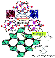 Graphical abstract: Solvent-free heterogeneous catalysis for cyanosilylation in a dynamic cobalt-MOF