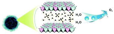 A high surface area flower-like Ni–Fe layered double hydroxide for ...