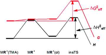 Graphical abstract: Olefin polymerisation catalysts: when perfection is not enough