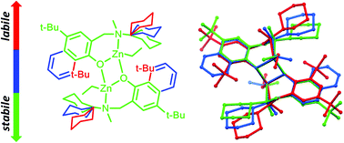 Graphical abstract: Designing ancillary ligands for heteroleptic/homoleptic zinc complex formation: synthesis, structures and application in ROP of lactides