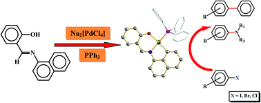 Graphical abstract: Palladium(0)-mediated C–H bond activation of N-(naphthyl)salicylaldimine and related ligands: utilization of the resulting organopalladium complexes in catalytic C–C and C–N coupling reactions