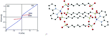 Graphical abstract: Macrocyclic Cu(ii)-organophosphonate building block with room temperature magnetic ordering