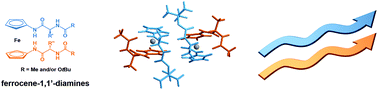 Graphical abstract: The conjugates of ferrocene-1,1′-diamine and amino acids. A novel synthetic approach and conformational analysis